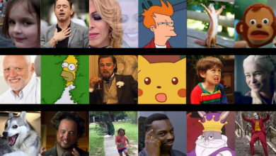 Photo of Un meme te hace reír, cien te dicen quién eres: por qué nos enganchan tanto