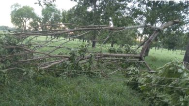 Photo of Fuertes lluvias y vientos dejan sin luz a varios municipios de Córdoba