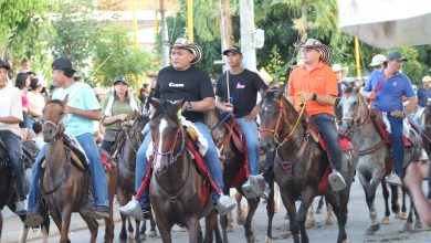 Photo of Corte rectifica sobre restricción total a cabalgatas