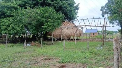 Photo of De Ayapel eran las mujeres que fallecieron tras ser impactadas por un rayo en Buenavista