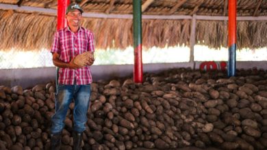 Photo of Agro cordobés impulsa ventas internacionales y supera los 52 millones de dólares en 2025