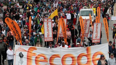 Photo of Docentes irán a paro de 24 horas el 30 de octubre en defensa de sus derechos