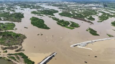 Photo of Miles de familias en La Mojana continúan abandonadas y en riesgo por ruptura de Cara e’ Gato