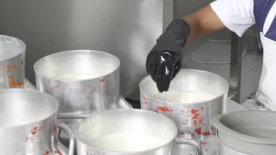 Photo of Precio de la leche sube en Córdoba, pero la industria reduce la compra