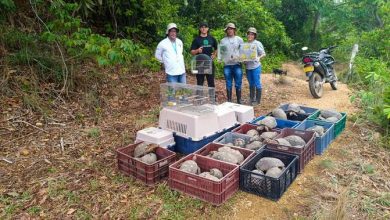Photo of CVS destaca aprobación de incentivo ambiental en Planeta Rica