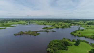 Photo of Buenavista: CVS declara Humedal Las Marías como Distrito de Conservación de Suelos