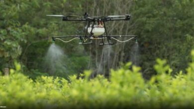 Photo of Antioquia pide erradicación aérea de cultivos ilícitos en límites con Córdoba