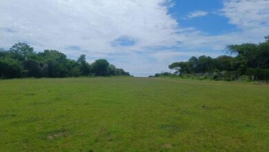 Photo of Comunidad de Ayapel solicita reapertura del aeródromo El Cebruno