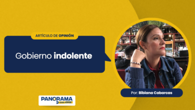 Photo of Opinión | Gobierno indolente