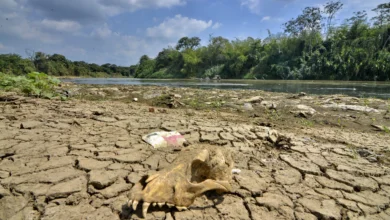 Photo of Ideam alerta sobre posible fenómeno de El Niño en Colombia: menos lluvias y más calor en camino