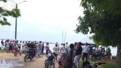 Photo of Asistentes a funeral fueron atacados por abejas africanas en El Cedro, Ayapel