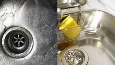 Photo of ¿Rayones en el lavaplatos de acero inoxidable? Así puedes solucionarlos sin gastar dinero