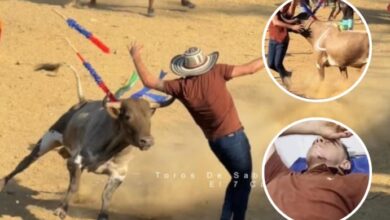 Photo of Toro atacó directo al rostro al banderillero Faber Herazo