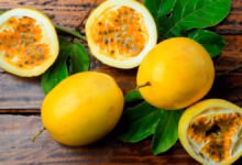Photo of Maracuyá: la fruta tropical que refresca y cuida tu salud desde adentro