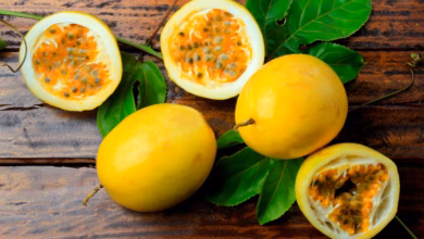 Photo of Maracuyá: la fruta tropical que refresca y cuida tu salud desde adentro