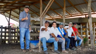 Photo of Campesinos de Córdoba destacan impacto del programa de mejoramiento genético bovino