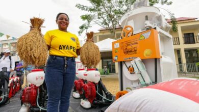 Photo of En Córdoba 945 productores fortalecen sus Unidades Productivas Agropecuarias