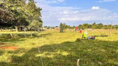 Photo of Más de mil personas invaden predio al sur de Montelíbano en busca de vivienda digna