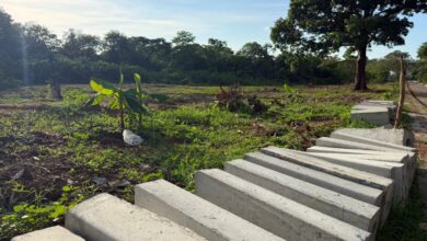 Photo of CVS recomendó suspender las obras de construcción del parque ecológico La Candelaria