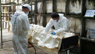 Photo of UBPD inicia búsqueda de desaparecidos en cementerio de Puerto Libertador: esperan recuperar nueve cuerpos