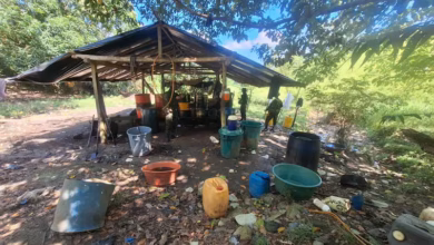 Photo of Localizados y destruidos dos laboratorios de pasta base de coca en Puerto Libertador
