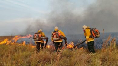 Photo of Alcaldía de Buenavista pide extremar medidas para evitar incendios forestales