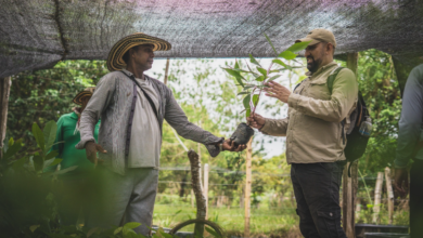 Photo of Agua, comunidades y restauración: una apuesta por el futuro de La Mojana